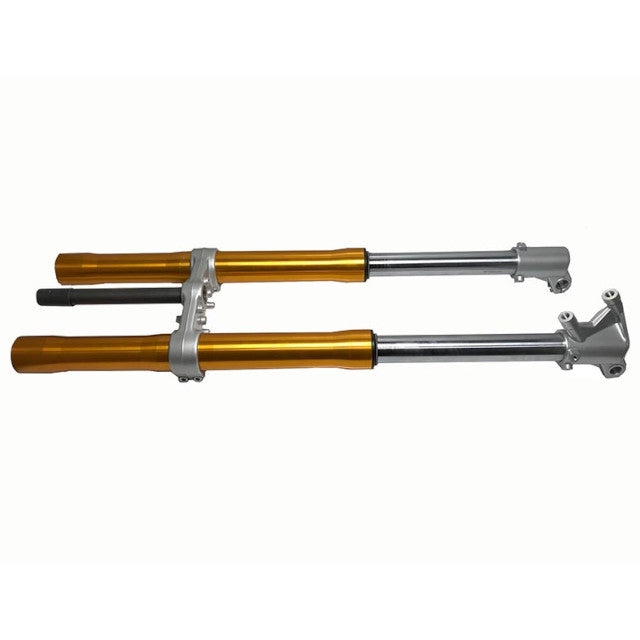 Horquilla invertida Rieju MRT / MRX / SMX 50 / Marathon 125 d.40mm 0/000.130.5104