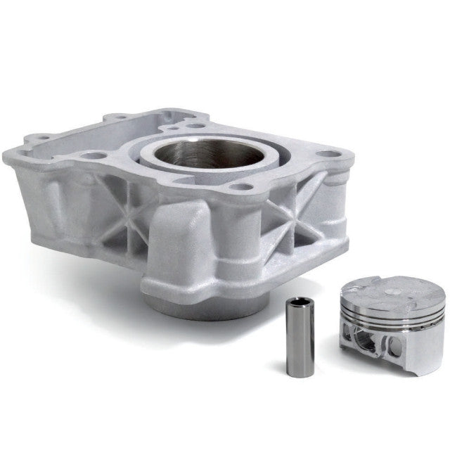 Cilindro KTM Duke 125cc 10-22 Airsal 02410558