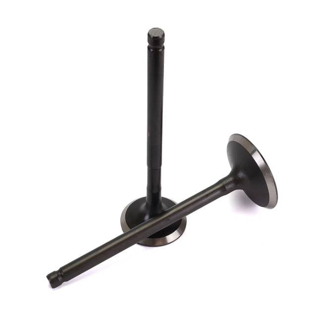 Soupapes d'échappement/admission Honda SH / PCX 150 13-15 TNT