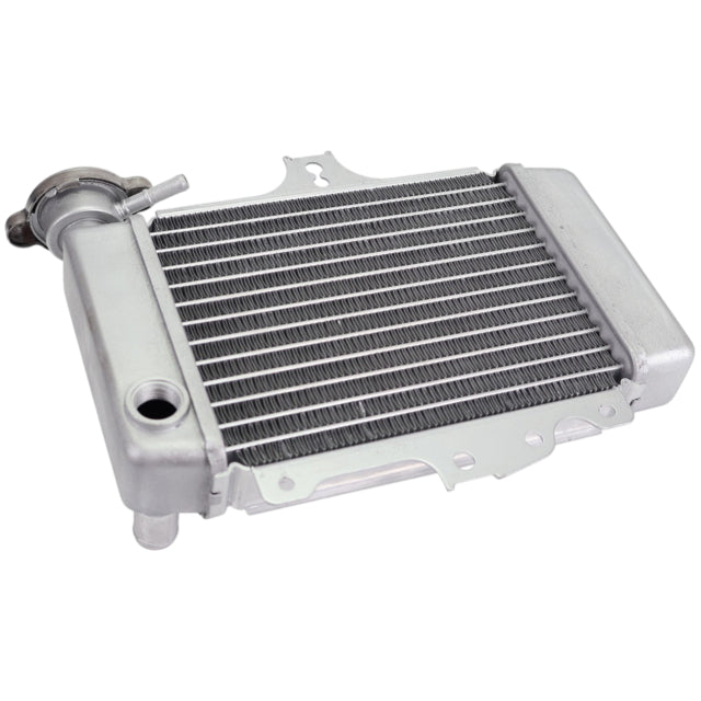 Radiateur Honda SH 125/150 01-04 TNT