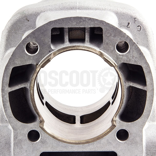 Cilindro Bidalot Racing factory WR 96cc Derbi euro 3 / 4 carrera 48mm biela 95mm bulón 13mm