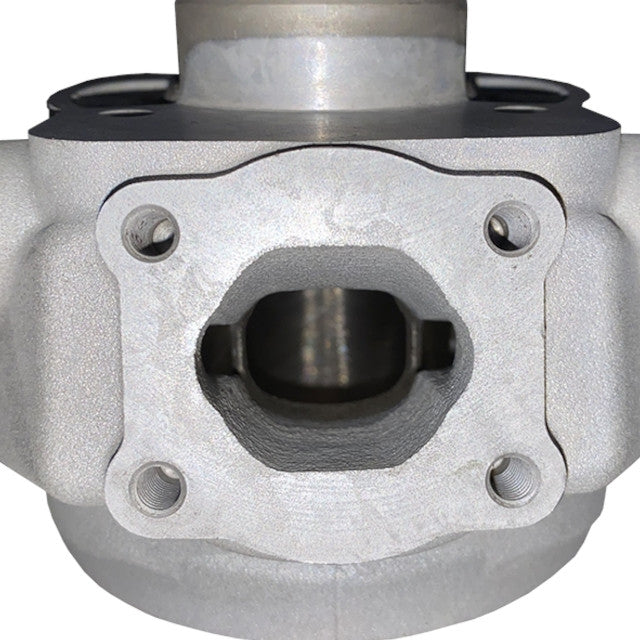 Cilindro Bidalot RF80WR 80cc Derbi Euro 3 / 4