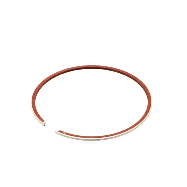 Bidalot RF80WR Segment d=47.6mm Derbi euro 2 / 3 / 4 / Minarelli AM6