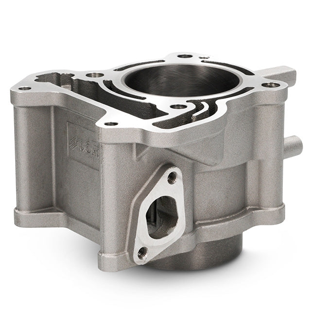 Polini Aluminium Cylinder Kit and ECU 172cc Vespa GTS/GTS Super >2018 125/150