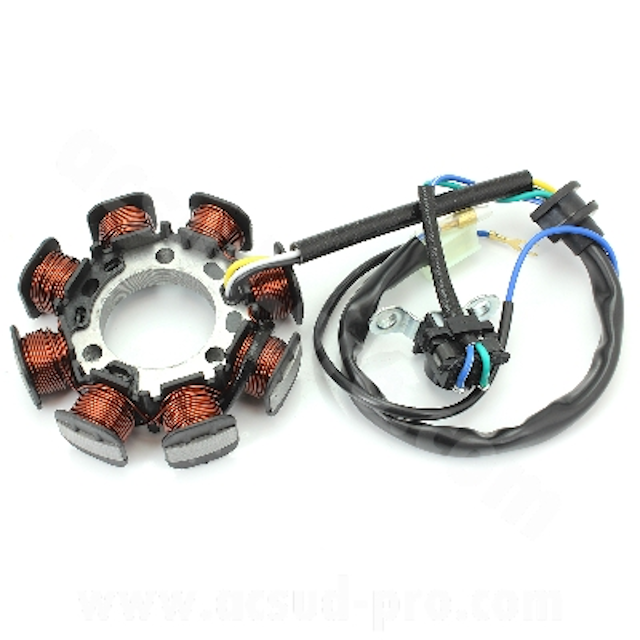 Stator encendido Yamaha YBR 125 05-09 / XTR/X 125 08-10 TNT 180310O