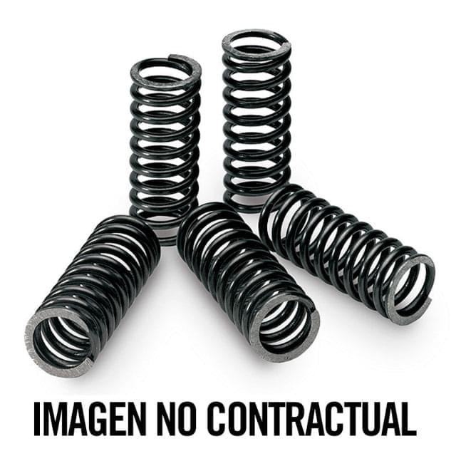 Muelles de embrague Yamaha DT 125-R / KTM SX 85 Tecnium 18447