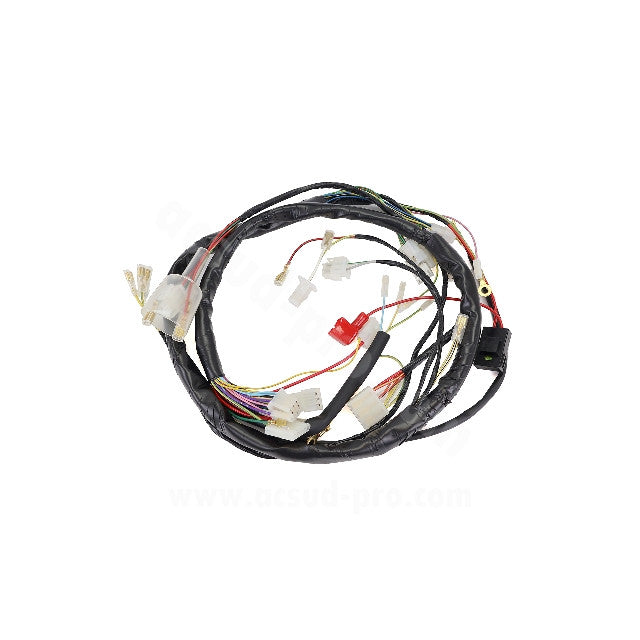Instalación eléctrica Derbi Senda 50 06-10 TNT 187240H