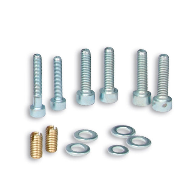 Vespa 2T Malossi intake system screws