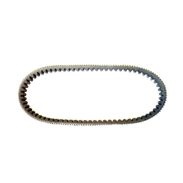 Correa de transmisión Piaggio MP3 HPE 300 Basic 4T 19-23 1A009598