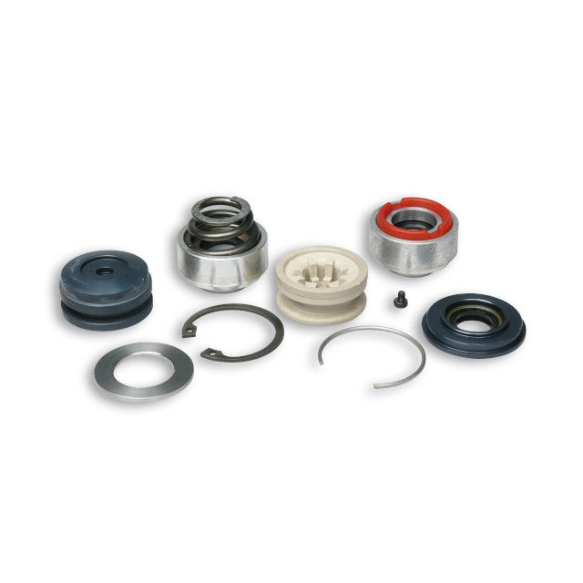 Kit revision de amortiguador Malossi RS24 / RS1 2015149B