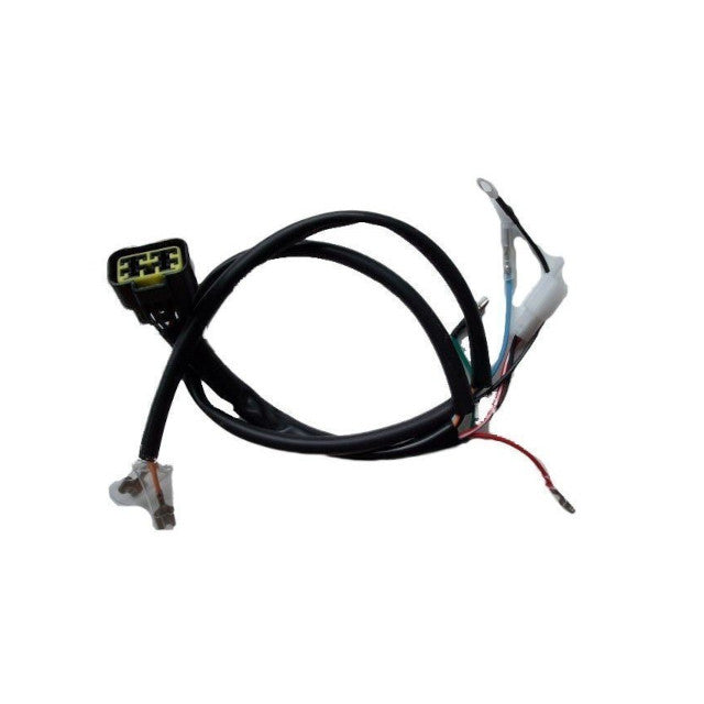 Cableado Pitbike motor ZongShen 110 / 125 / 150-155-160 23026