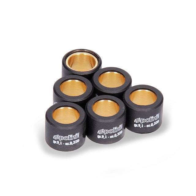 Roletes de variador 19x15,5 Polini