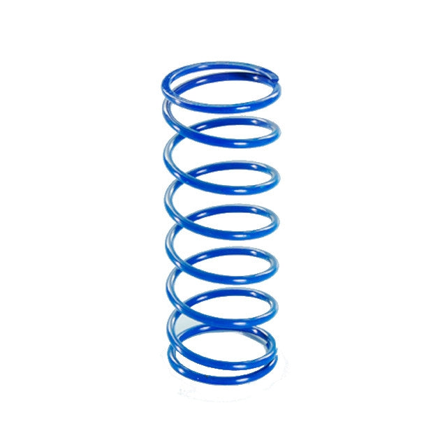 Muelle de embrague Kawasaki J300 / Kymco Downtown / DTX 360 euro 5 Polini 243.089