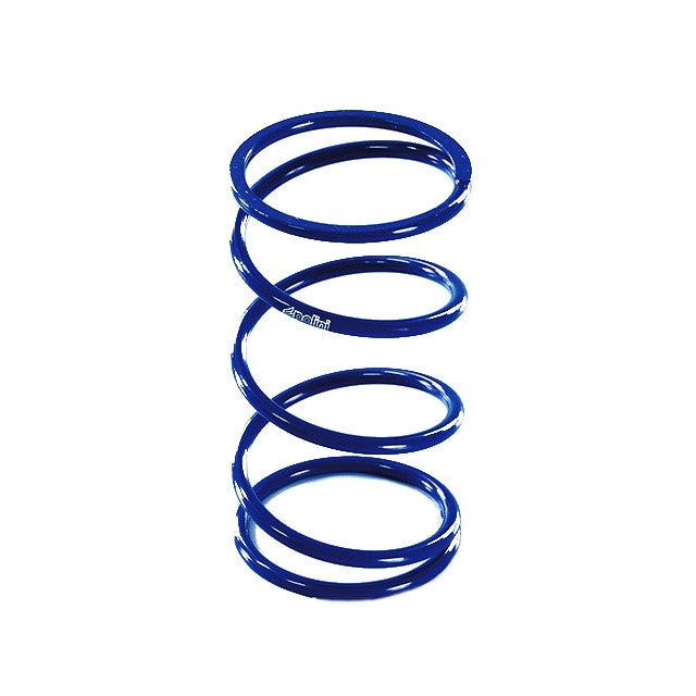 Muelle de embrague Kymco AK 550 euro 4 17-20 Polini 243.110