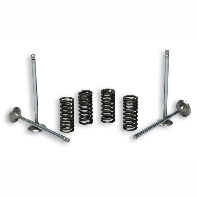 Kit válvulas de culata Piaggio scooter 125/180/200/300cc Malossi