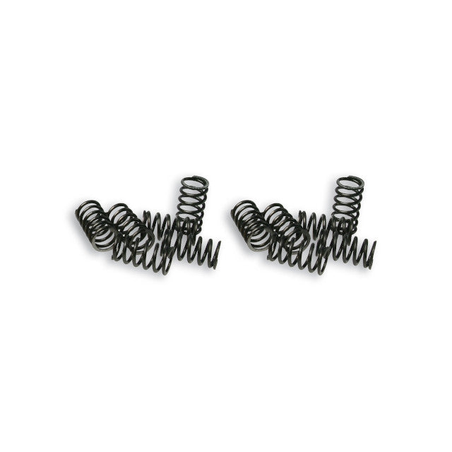 Muelles de embrague Malossi Vespa FL 2916649
