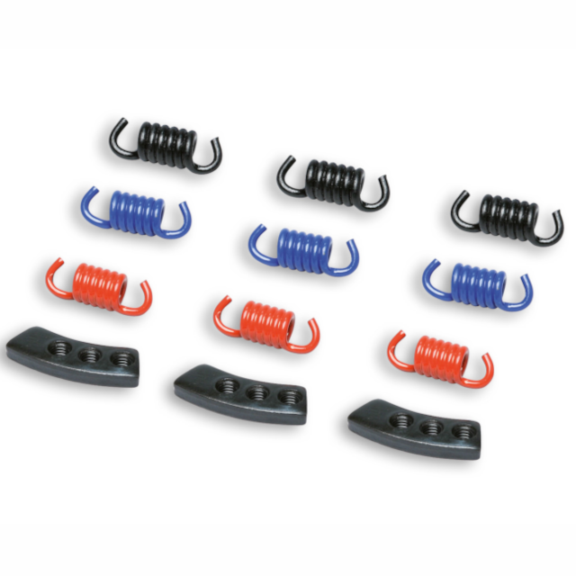 Muelles de embrague Fly / Delta Clutch Racing Malossi 298747
