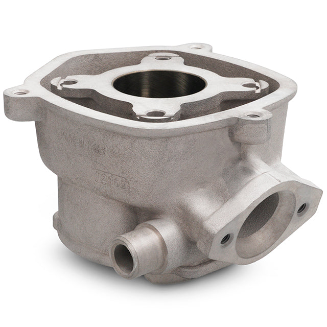 Malossi MHR Team Cylinder 50cc Derbi Euro 2