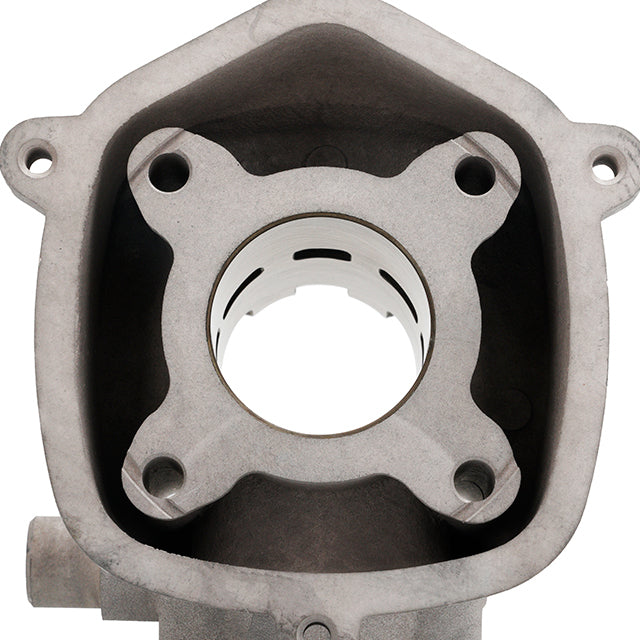 Malossi MHR Team Cylinder 50cc Derbi Euro 2