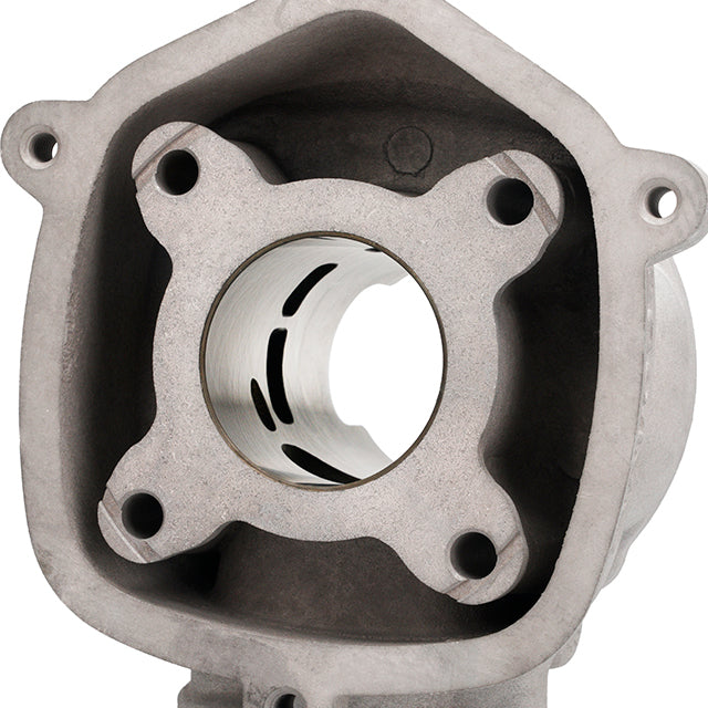 Malossi MHR Team Cylinder 50cc Derbi Euro 2