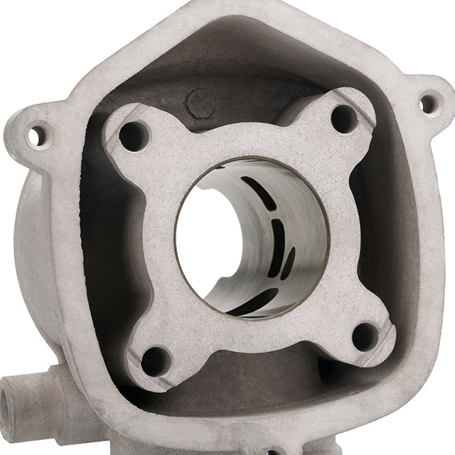 Malossi MHR Team Cylinder 50cc Derbi Euro 2