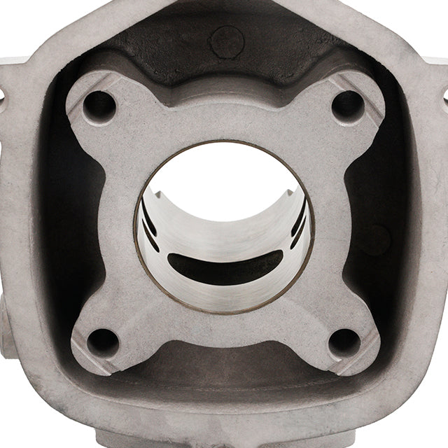 Malossi MHR Team Cylinder 50cc Derbi Euro 2