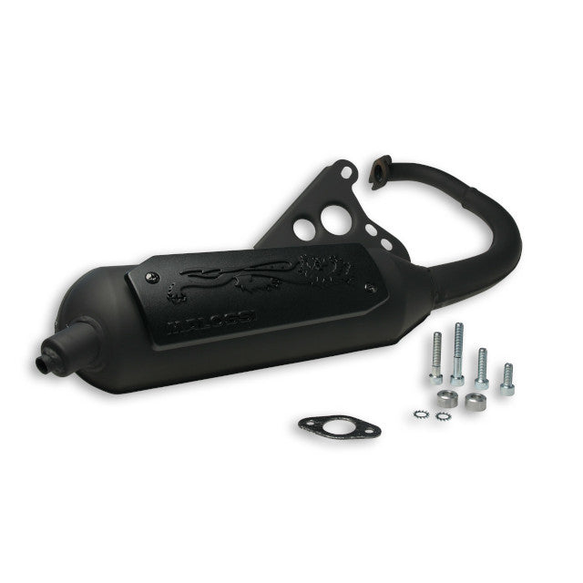 Échappement Malossi Wild Lion Yamaha BW'S 50 2T (CE)