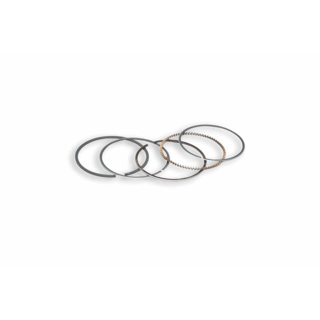Segmentos Malossi d=44mm 3513658