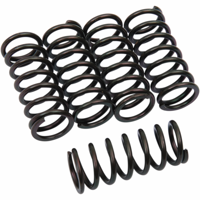 Muelles de embrague Honda CBR 600 RR 1000 F Barnett 501-73-05067