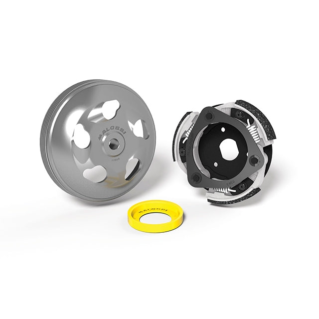 Embrayage et cloche Malossi Maxi Delta System Honda Forza d=135mm
