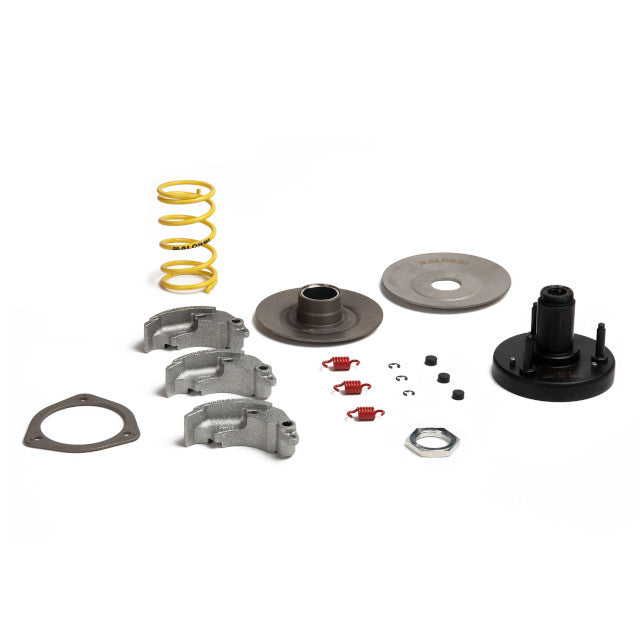 Embrague Malossi Fly Clutch motores Piaggio 50 2T 5218223