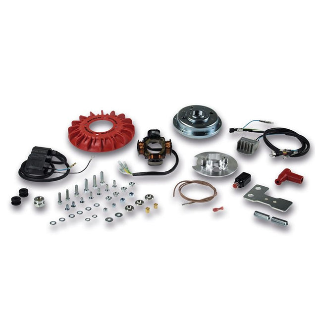 Encendido racing Vespa Primavera / Super / SL 2T con avance variable 1.2kg Malossi 5516951