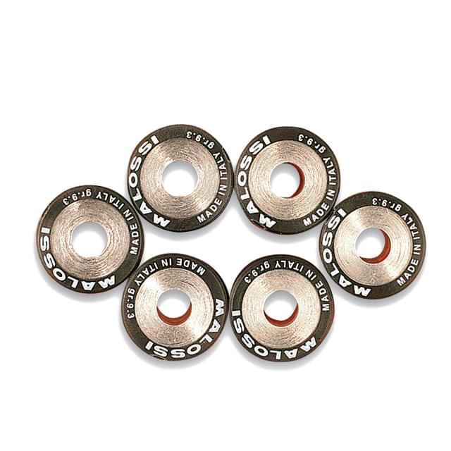 Rodillos Malossi HTRoll 19x15,5 - 6 rodillos