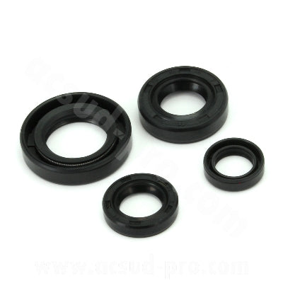 Retenes de motor Honda CBF 125 TNT 040920E