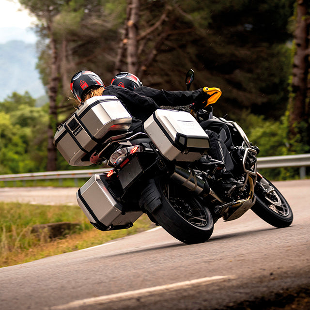 Top case TR55 Terra Shad