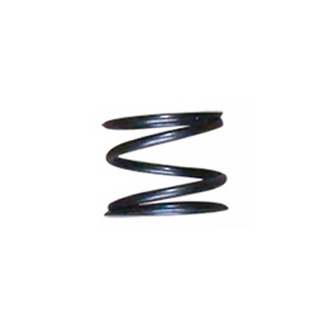 Muelle filtro de aceite Pitbike motor Daytona Anima 86375