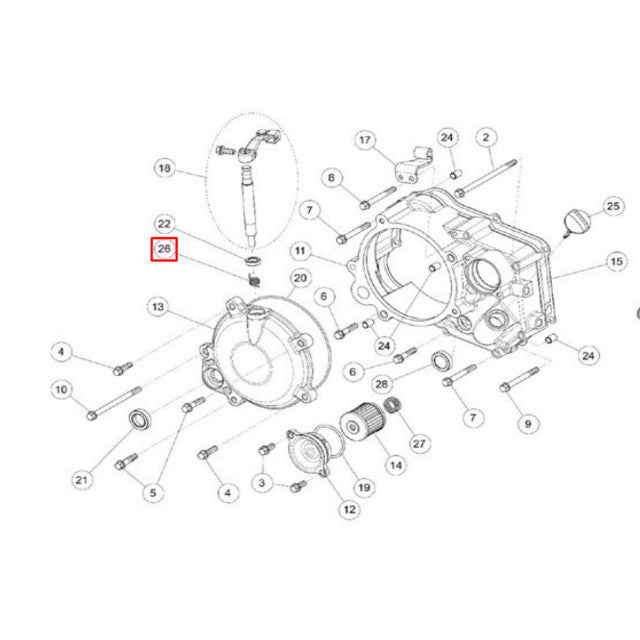 Molas embraiagem motor Daytona Anima