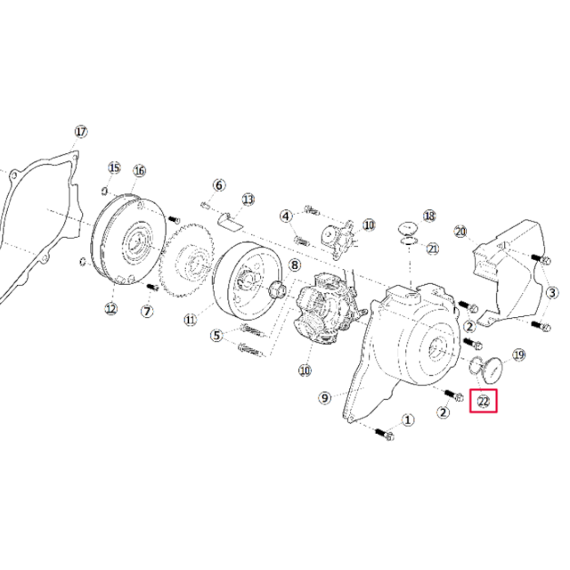 O-ring large plug ignition cover 190 electric start engine Daytona Anima