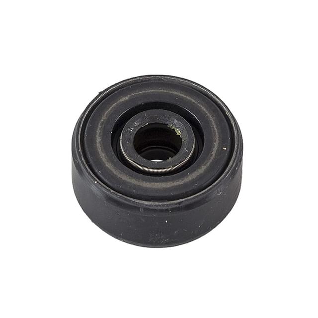 Retentor de bomba de água 10x31x13.5 Flj7 Athena