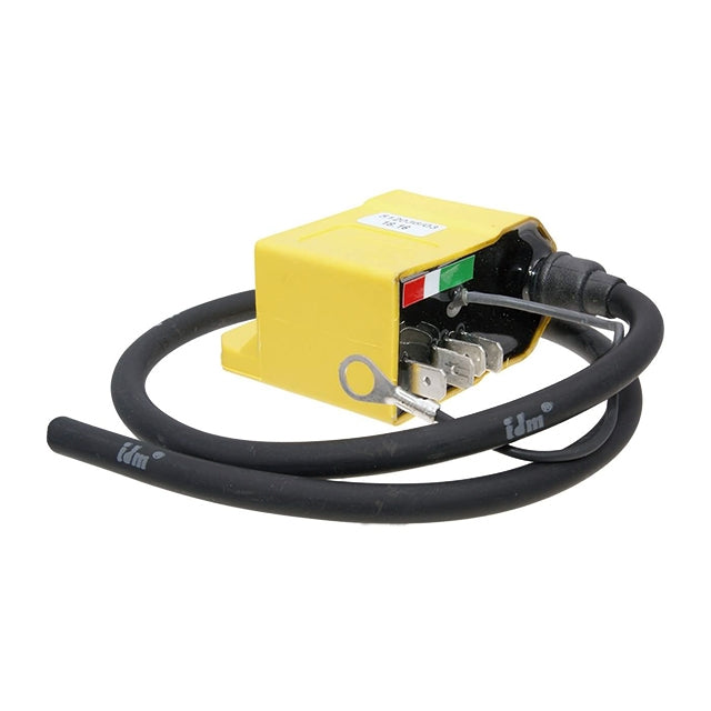 Bobina / CDI deslimitado avance fijo encendido ducati 6 polos Top Performances