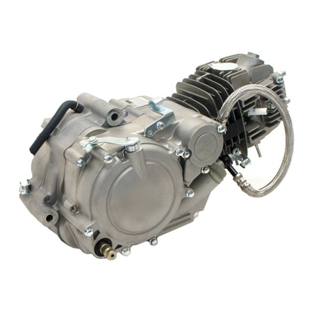 Z125 Engine Fiddy Zonghsen Pitbike AllPro