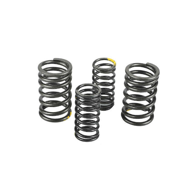 Muelles de valvula motor ZS190 Zongshen Pitbike AllPro AP100PB20ZS190.VLV.03