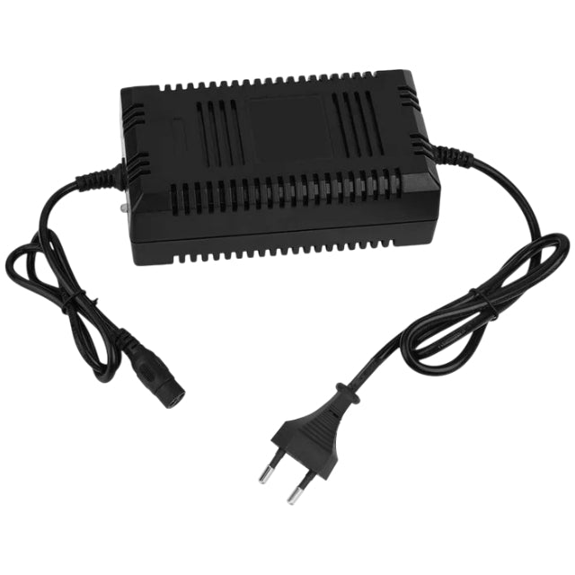 Cargador alta calidad 48V Quad eléctrico QX-E Allpro AP100PB60.IGN.02