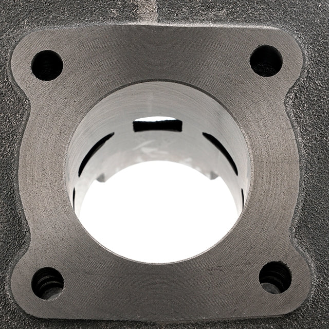 Cilindro AllPro 50cc Peugeot vertical AC