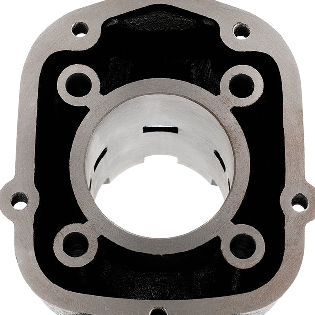 Cylinder AllPro Iron 70cc Derbi euro 3/4