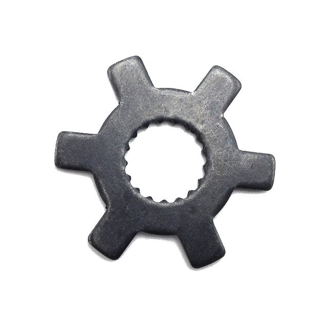Arandela estrella variador Minarelli horizontal / vertical 50cc AllPro AP25PF10.166.WSH