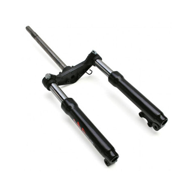 Horquilla completa Yamaha BW'S / MBK Booster 99-03 Allpro AP60FO168.BOS.99