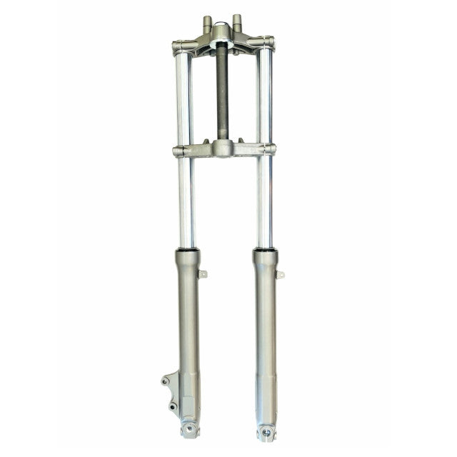 Horquilla delantera completa Rieju MRT 50-125 / Beta RR 50cc Allpro AP60FO184