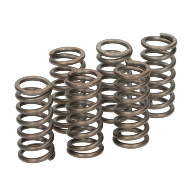 Muelles de embrague reforzados Yamaha WRF 250 01-14 / YFZ 350 Banshee 00-05 EBC CSK002