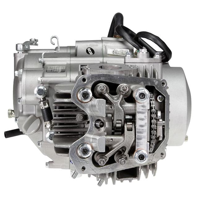 Daytona ANIMA 150cc 4V Engine, Pitbike